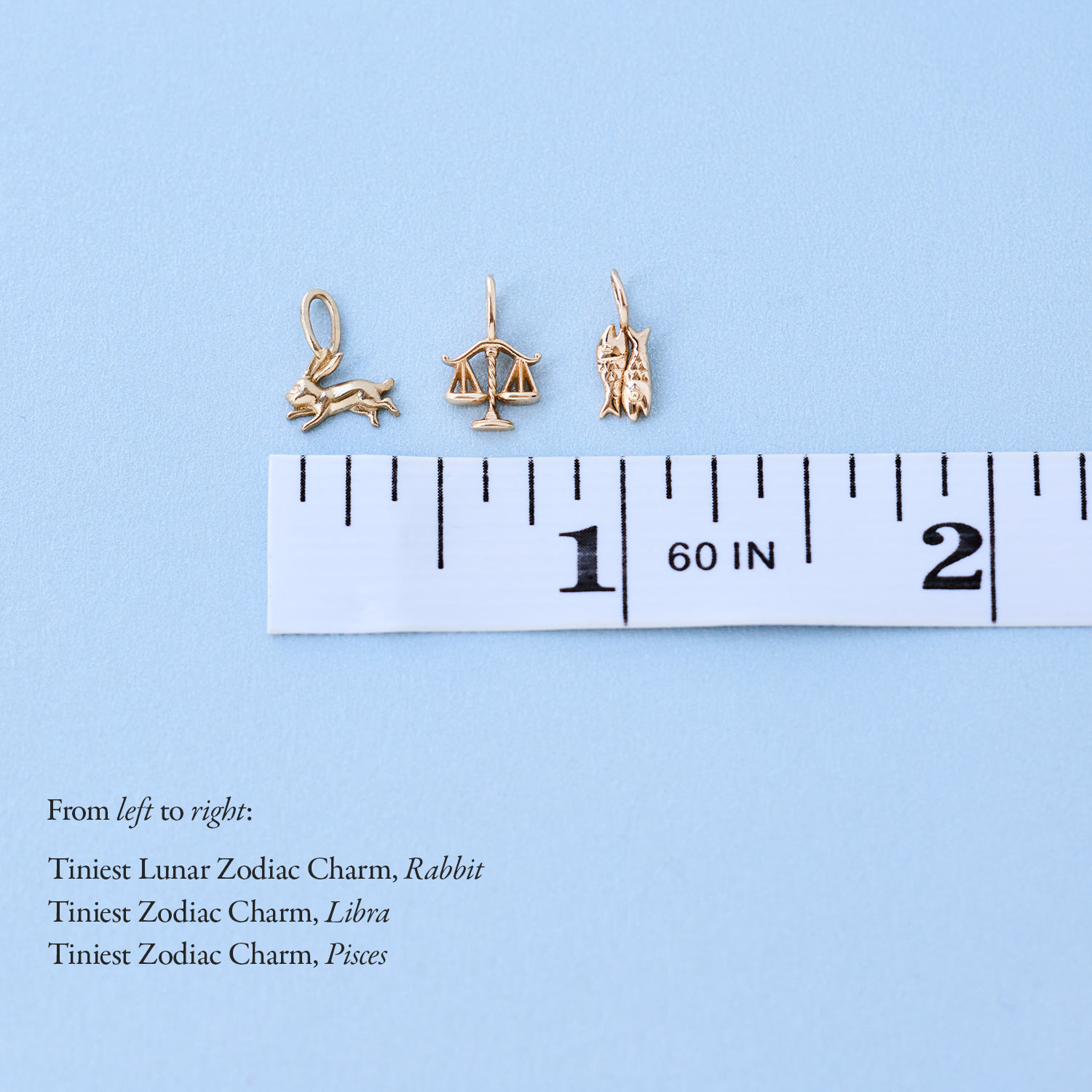 Tiniest Lunar Zodiac Charm | Catbird NYC