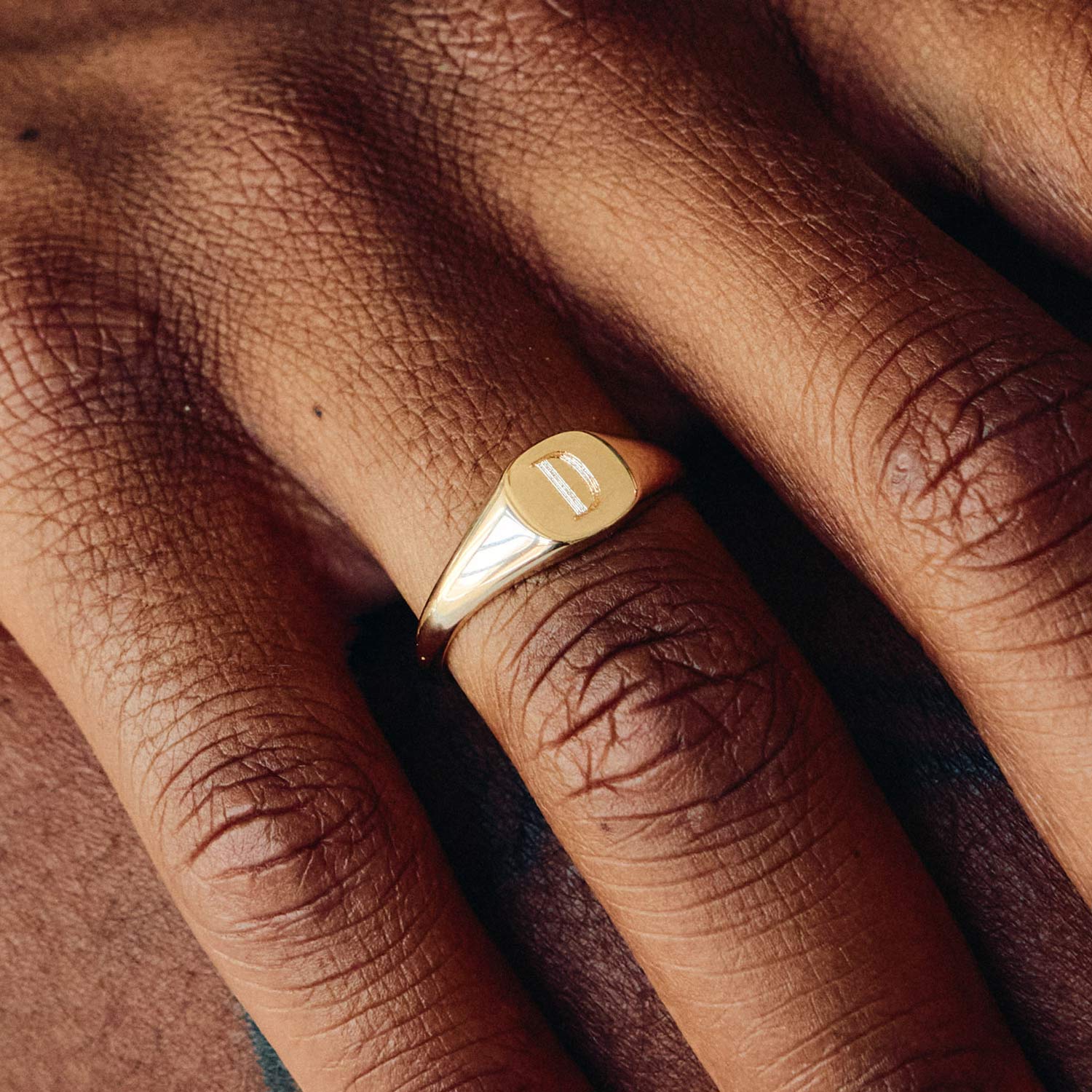 Catbird Jewelry - Diver Signet Ring, Yellow Gold