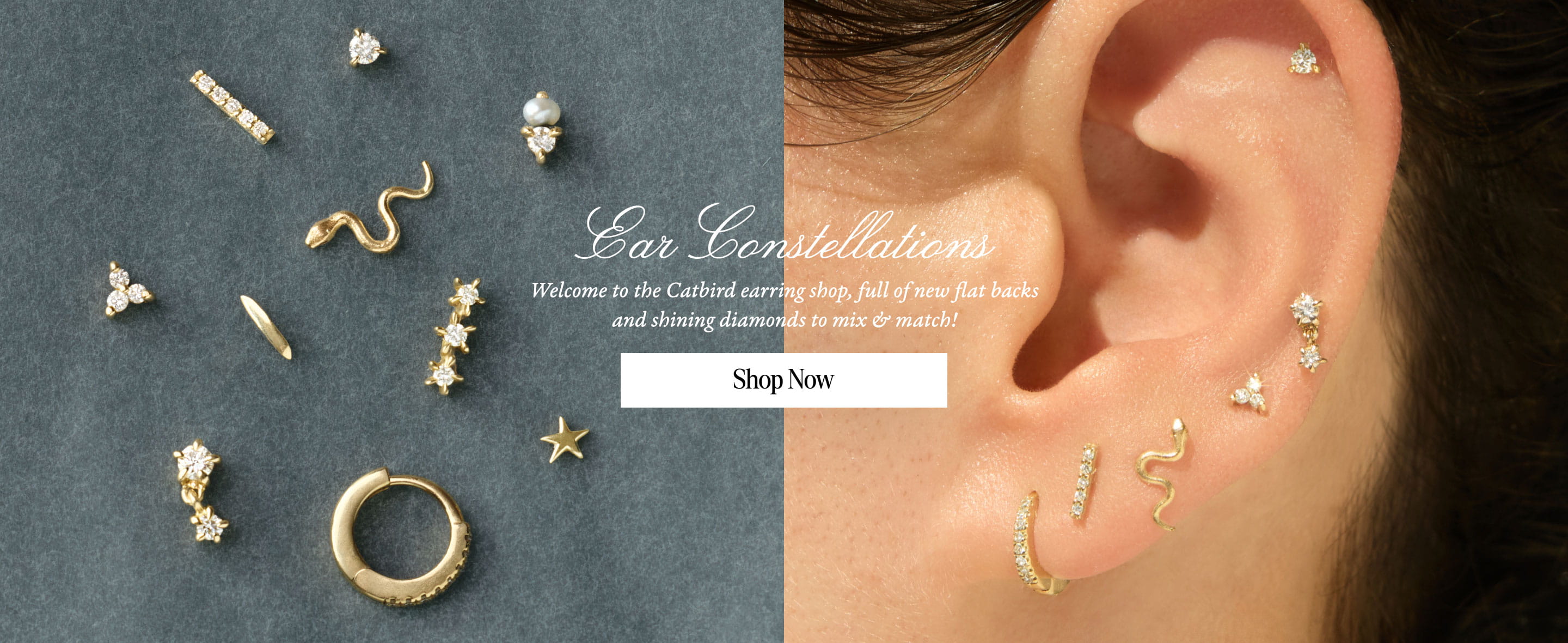 Ear Constellations  Welcome to the Catbird earring shop, full of new flat backs and shining diamonds to mix & match!  Shop Now