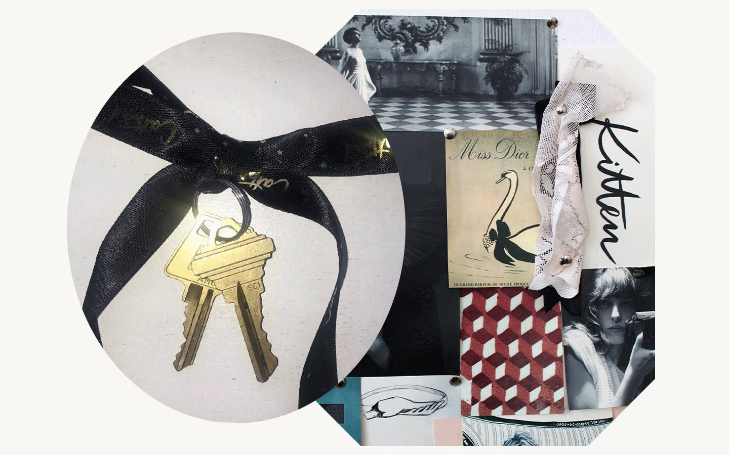 Depiction of various Catbird Products 
